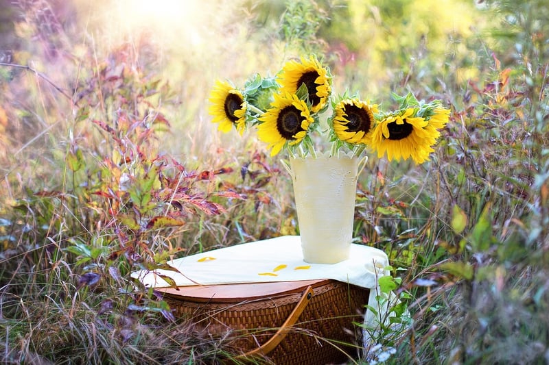 Upcycled Garden Decor Ideas
