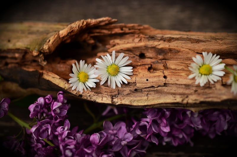 Woodworking Image